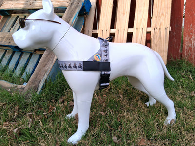 The Rebel With Paws Harness — Limited Edition