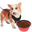 Collapsible Silicone Travel Bowls - 12oz