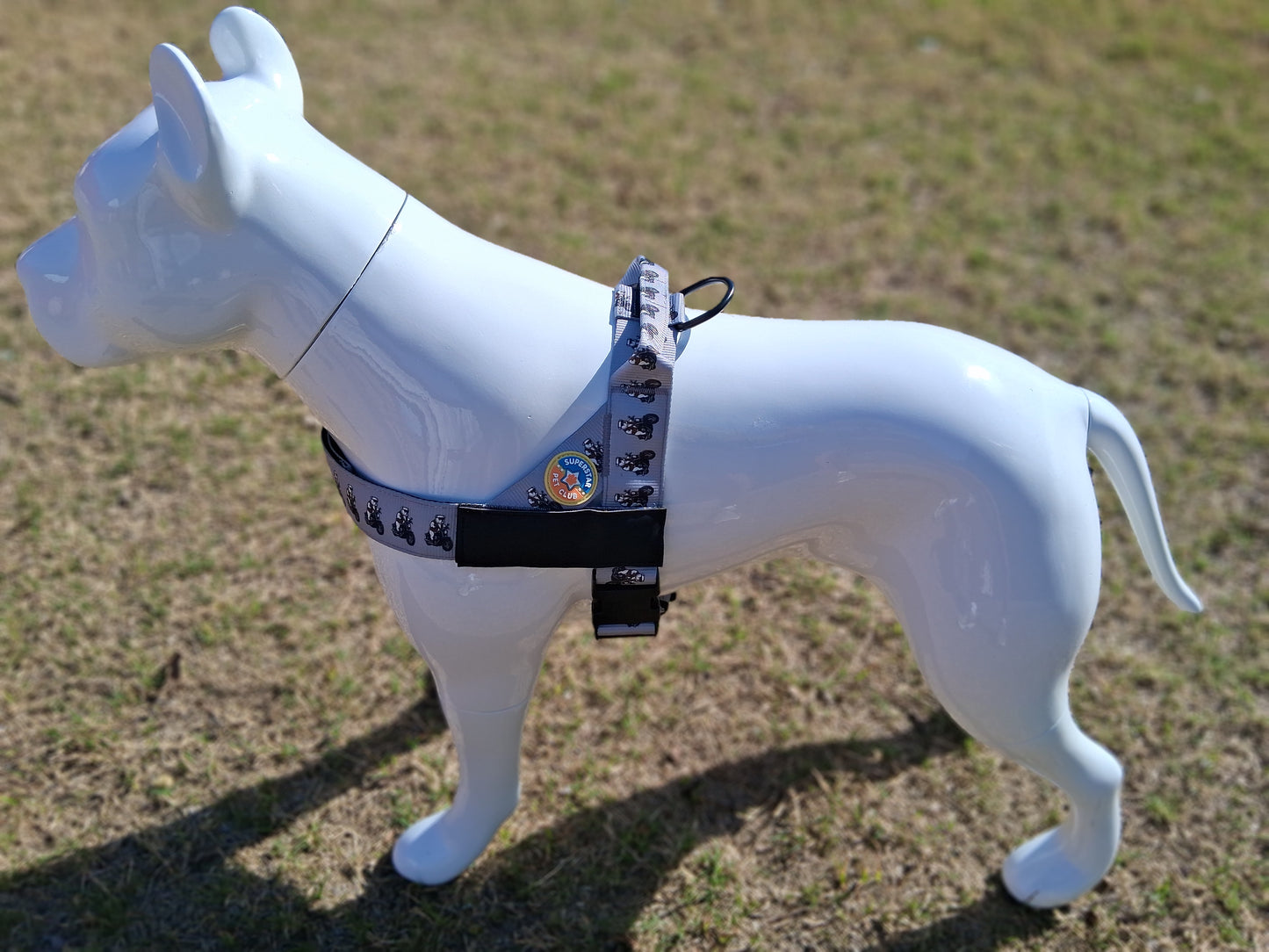 The Rebel With Paws Complete Walk Kit — Harness + Leash Bundle