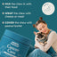 Immune Support Chews for Dogs Pork Flavor Wellness Soft Chews