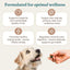 Immune Support Chews for Dogs Pork Flavor Wellness Soft Chews