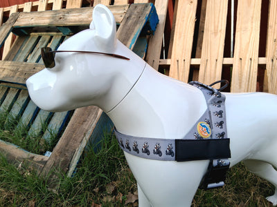 Rebel with Paws Harness