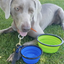 Collapsible Silicone Travel Bowls - 12oz