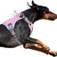 Tactical No-Pull Dog Harness with Handle, Reflective Adjustable Training Vest