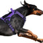 Tactical No-Pull Dog Harness with Handle, Reflective Adjustable Training Vest