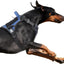 Tactical No-Pull Dog Harness with Handle, Reflective Adjustable Training Vest