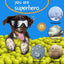 NVTED Dog Sunglasses with Adjustable Strap for Medium or Large Dog